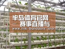 环境展示六