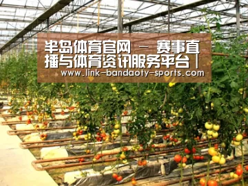 种植基地二