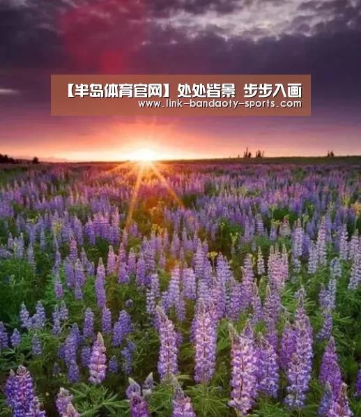 半岛体育