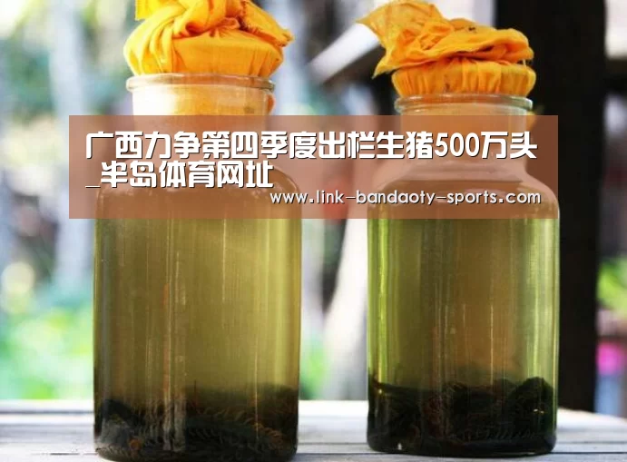 半岛体育官网