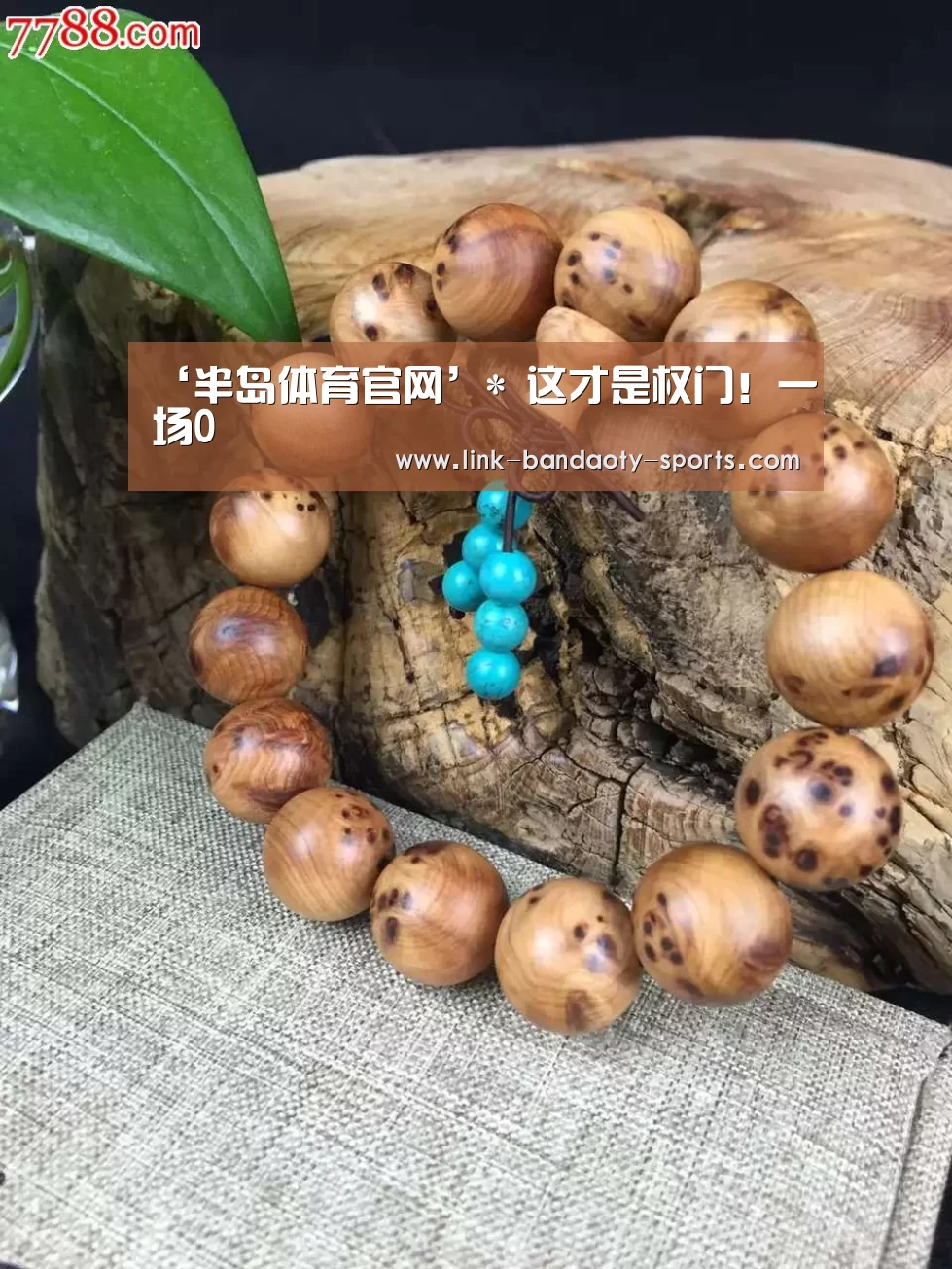 半岛体育