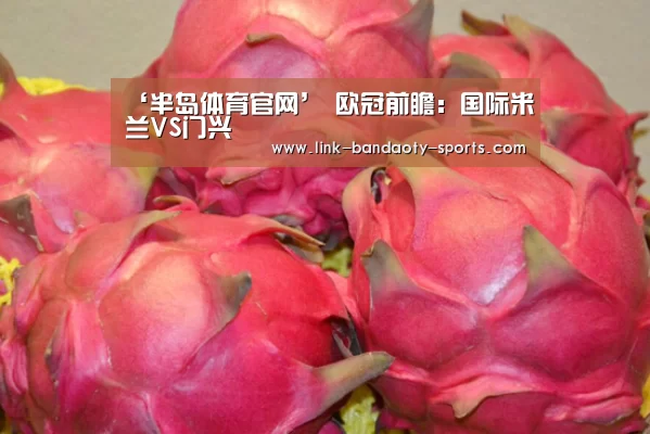 半岛体育网址