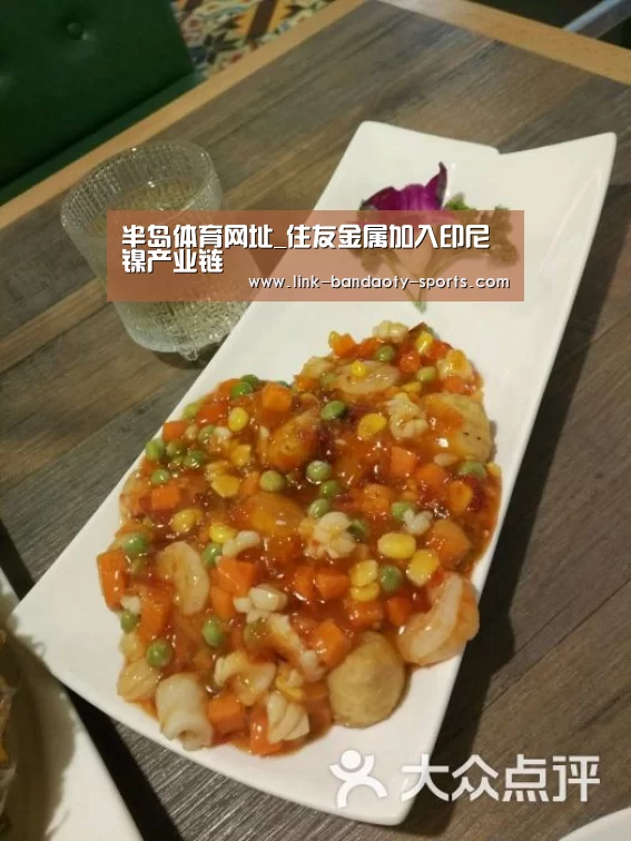 半岛体育网址
