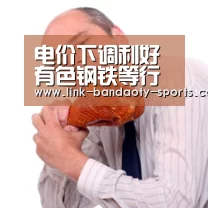 电价下调利好有色钢铁等行业【半岛体育】(图2) 电价下调利好有色钢铁等行业【半岛体育】(图2)