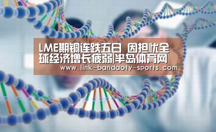 LME期铜连跌五日 因担忧全球经济增长疲弱|半岛体育网址(图2) 半岛体育下载