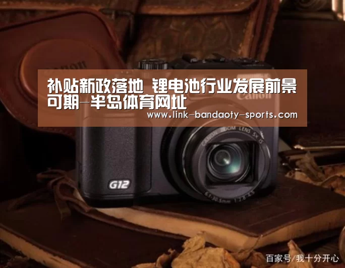 补贴新政落地 锂电池行业发展前景可期-半岛体育网址(图1) 补贴新政落地 锂电池行业发展前景可期-半岛体育网址(图1)