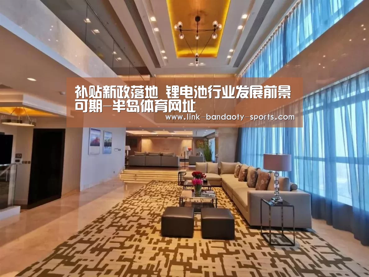 补贴新政落地 锂电池行业发展前景可期-半岛体育网址(图2) 半岛体育网址