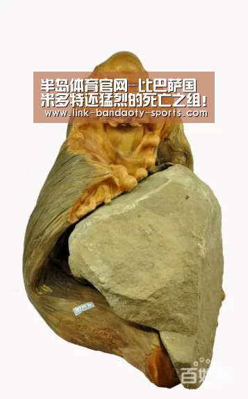 半岛体育官网-比巴萨国米多特还猛烈的死亡之组!新赛季欧冠,这些小组值得关注(图3) 半岛体育网址