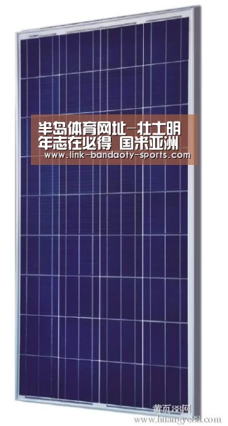 半岛体育网址-壮士明年志在必得 国米亚洲队长再战欧冠 乐城从不辜负自己的努力(图2) 半岛体育下载